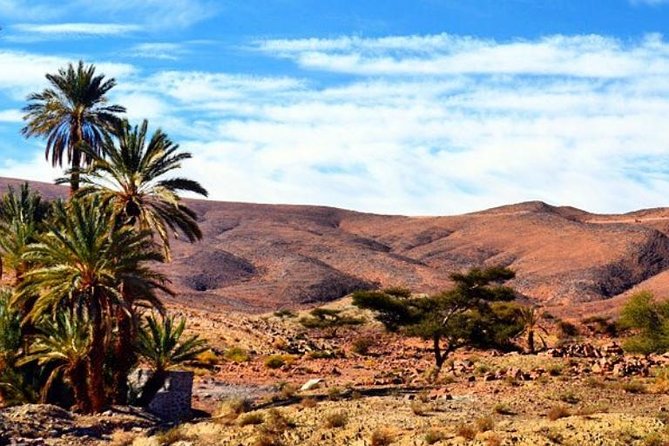 2 Days 1 Night Amazing Zagora Desert Tour From Marrakech - Traveler Photos and Reviews