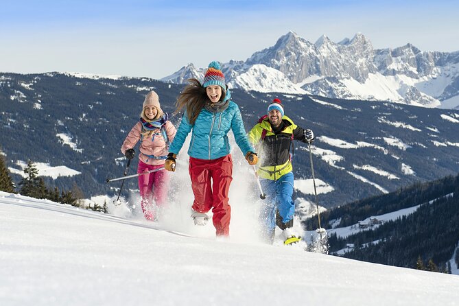 2 Days Austrian Alps Skiing Private Tour From Vienna to Flachau - Additional Information