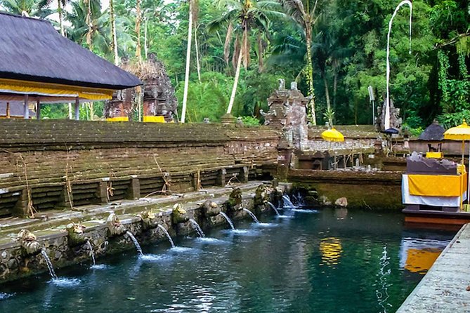 2 Days Best of Bali Famous Tour Packages - Reviews and Feedback Analysis