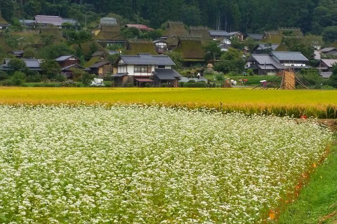 2 Days Kyoto Miyama Bike Tour Self Guided - Route Highlights and Attractions