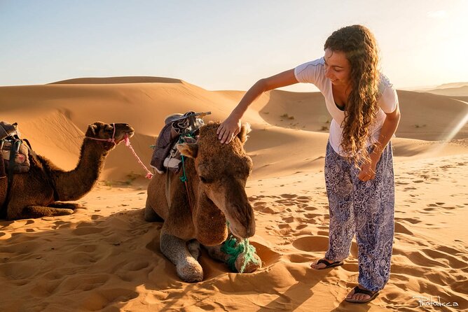 2 Days Luxury Desert Trip [Fes to Fes or Marakech] - Desert Experience and Activities