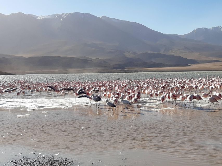 2-Days Salt Flats Private Roundtrip From Uyuni in Rains - Duration & Cancellation Policy