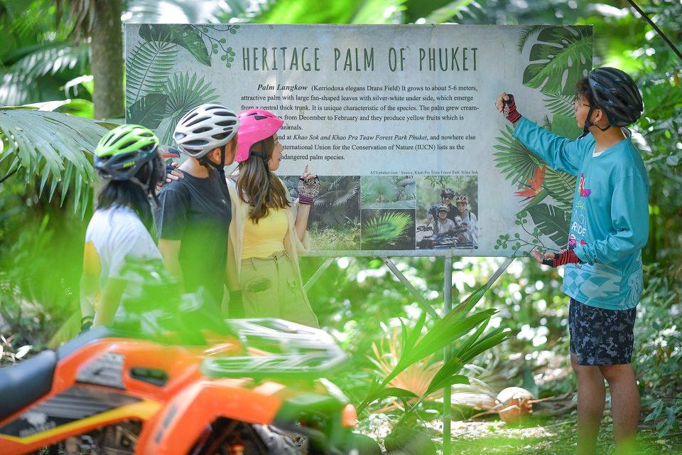 2-Hour ATV Adventure in Phuket: Unleash Your Inner Explorer - Tour Description