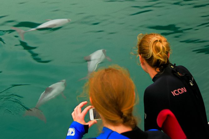 2 Hour Dolphin Viewing Eco-Tour From Picton - Additional Information
