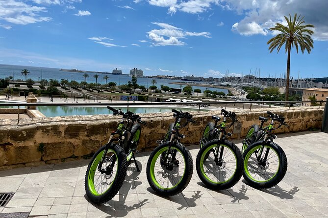 2-Hour Exclusive Fat Tire E-Bike Tour in Palma - Rave Reviews From Travelers