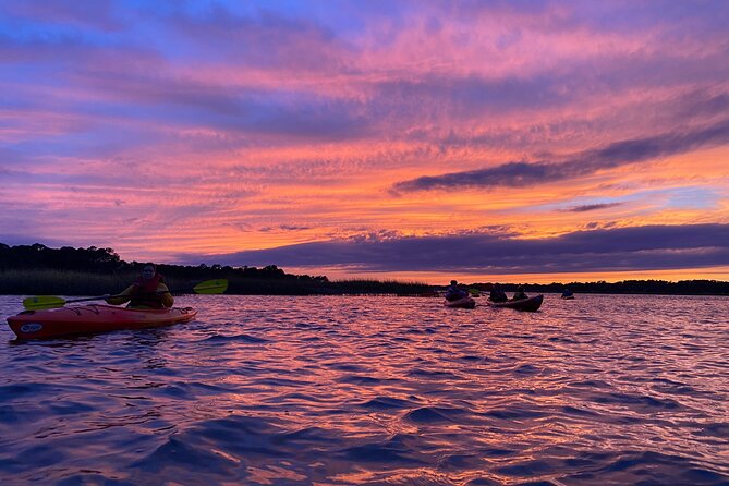 2-Hour Guided Kayak Nature Tour of Hilton Head - Customer Reviews