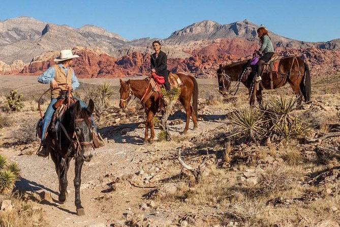 2-Hour Horseback Riding Through Red Rock Canyon - Customer Reviews