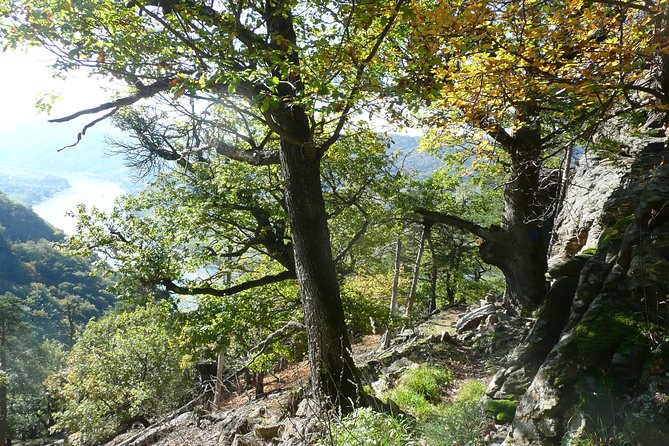 2-Hour Private Alpine Hiking Tour on Seekopf Mountain, Wachau Valley From Vienna - Expectations