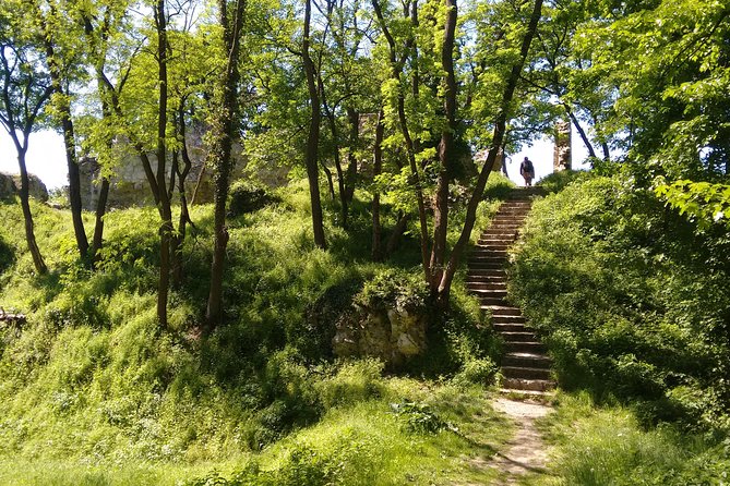 2-Hour Private Hiking Tour to Meet History at Braunsberg Mountain From Vienna - Meeting Point