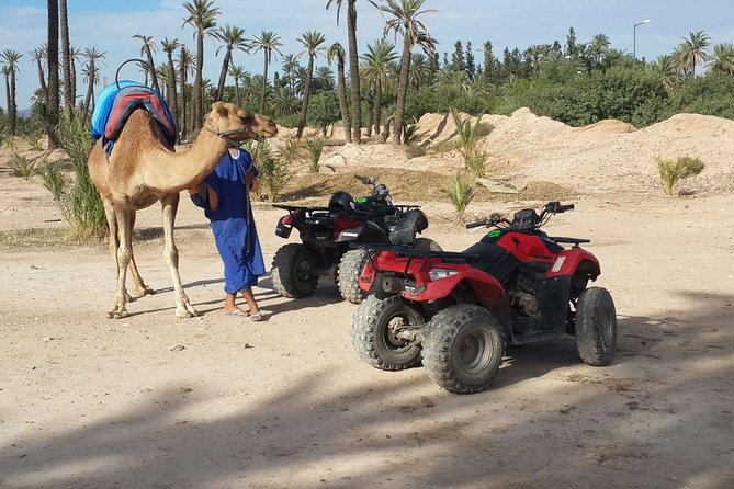 2-Hour Quad Bike & Camel Ride in Marrakech Palmeraie - Customer Feedback and Reviews