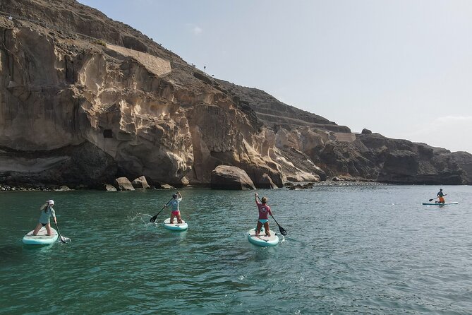 2 Hour Stand Up Paddle Lesson in Gran Canaria - Pricing and Reviews