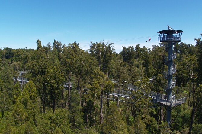 2-Hour Tower Zipline and Walkway Combo Private Guided Activity - Cancellation Policy Details