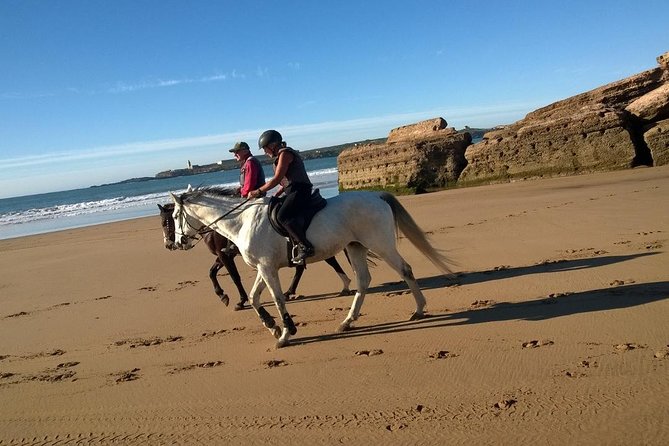 2 Hours Horse Ride Beach and Dunes in Essaouira Morocco - Meeting Point