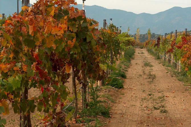 2 Hours Water to Wine Kayak Trip From Cottonwood - Logistics