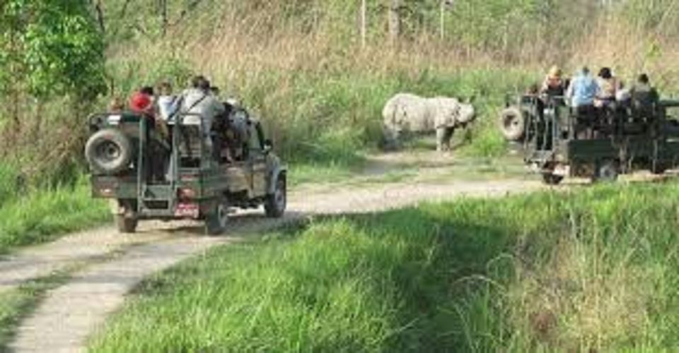 2 N 3 Days Chitwan Tour Package From Pokhara or Kathmandu - Itinerary