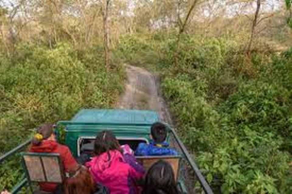 2 Night 3 Days Chitwan National Park Tour From Kathmandu - Accessibility and Private Group Tours