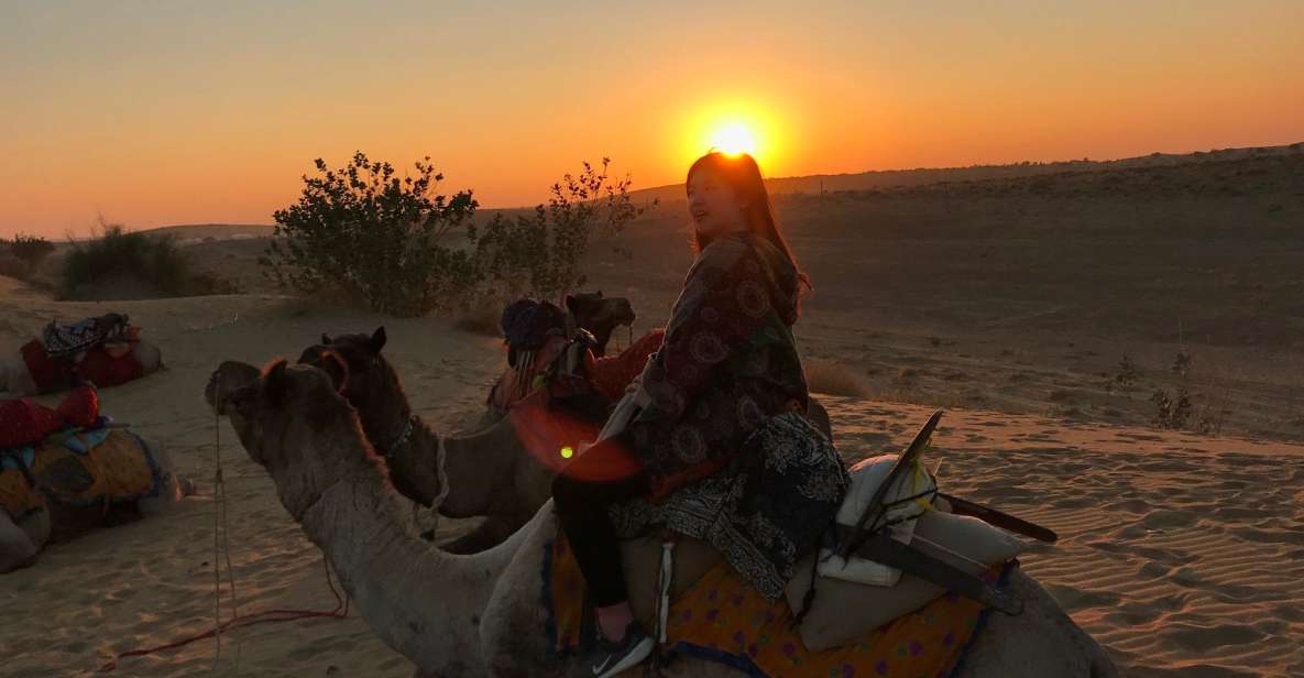 2 Nights 3 Days Jaisalmer Tour & Non-Touristic Camel Safari - Safari Experience