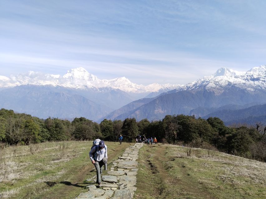 2 Nights 3 Days Poon Hill Ghandruk Trek - Accommodation Information