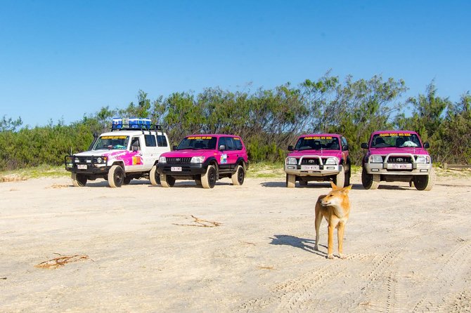 3 Day 4wd Tagalong Tour - Fraser Island - Accommodation Details