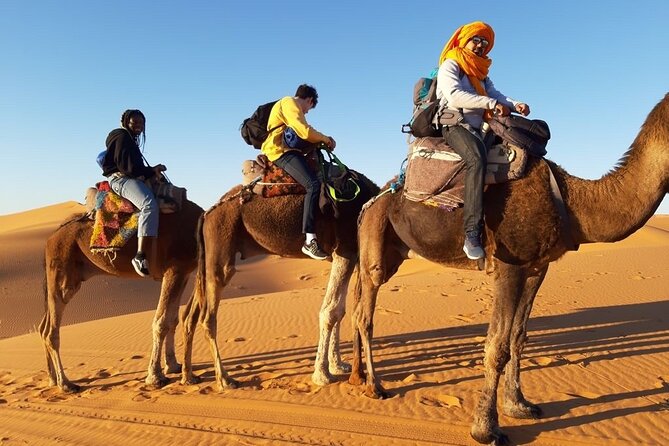 3-Day Circuit in the Sahara Desert of Merzouga From Marrakech - Travel Tips and Recommendations