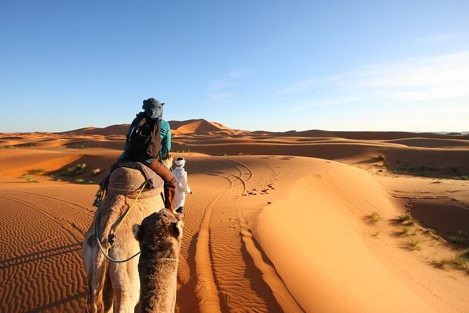 3 Day Desert Tour Marrakech to Fes - Customer Reviews and Ratings