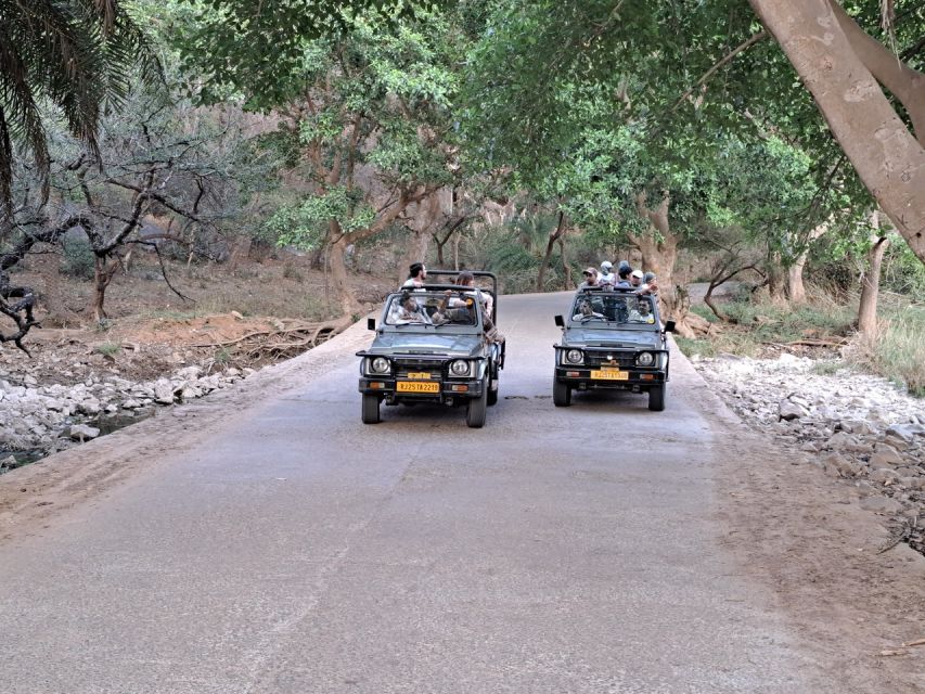 3 Day Private Jaipur and Ranthambore Tour - Common questions