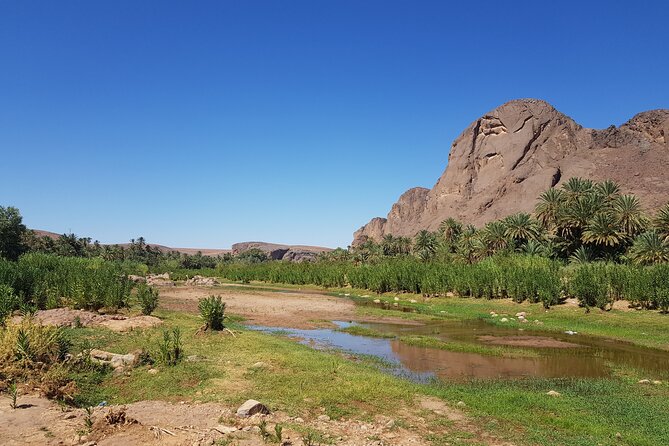 3-Day Sahara Desert Trip From Marrakech To Merzouga - Tour Guide and Group Dynamics