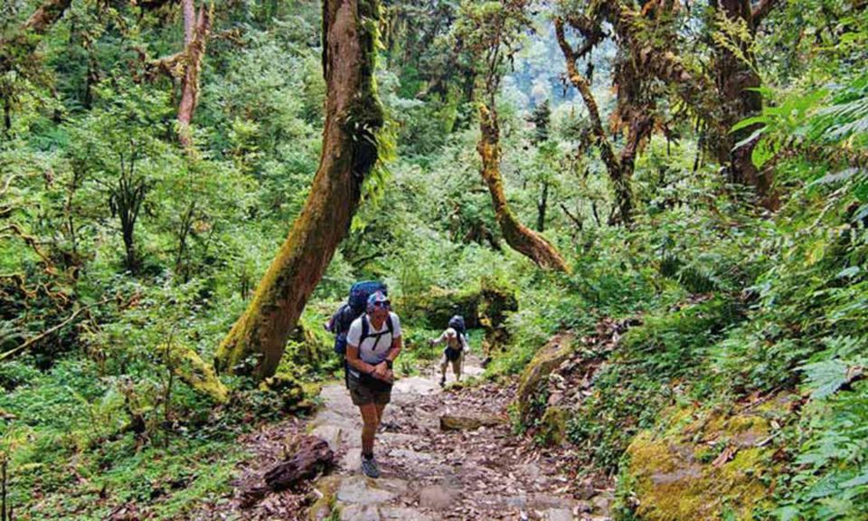 3 Days/2 Nights Kathmandu - Nagarkot Short Hiking - Top Highlights to Explore