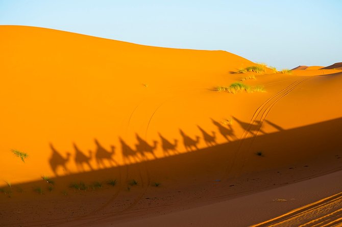 3-Days Private Tour From Marrakech to Fez Through Merzouga Desert - Traveler Reviews and Ratings