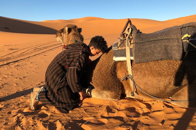 3 Days Shared Sahara Desert Tour From Marrakech - Common questions