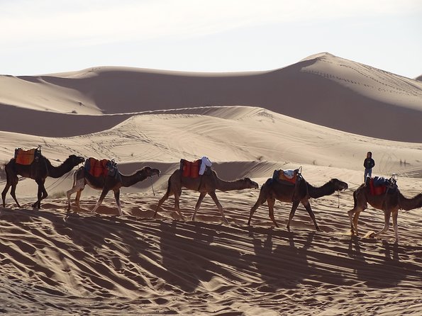 3 Days Tour From Marrakech to Merzouga - Common questions