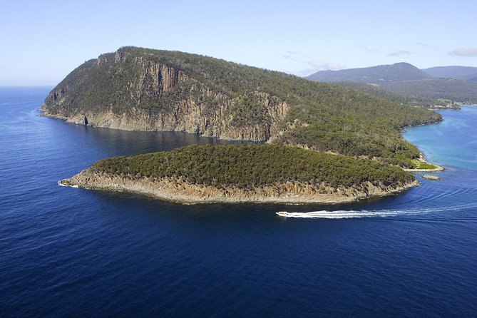 3-Hour Bruny Island Cruise From Adventure Bay, Bruny Island - Company Overview and Operations
