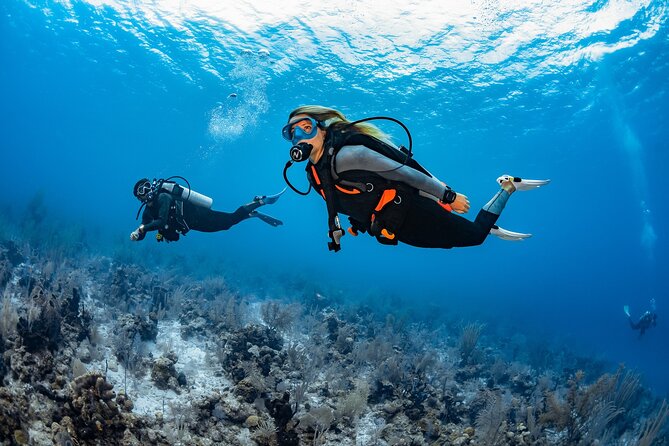 3-Hour Guided PADI Scuba Diving Experience in Tenerife - Logistics and Policies