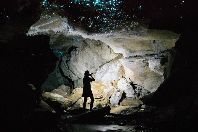 3-Hour Private Photography Tour in Waitomo Caves - Reviews and Ratings