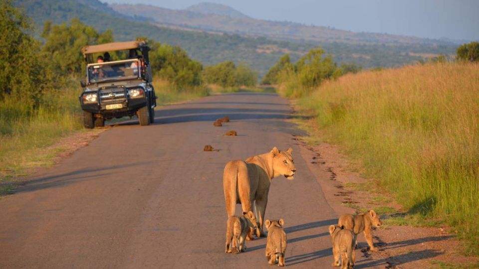 3-Hour Shared Game Drive in Pilanesberg National Park - Convenient Pickup Locations