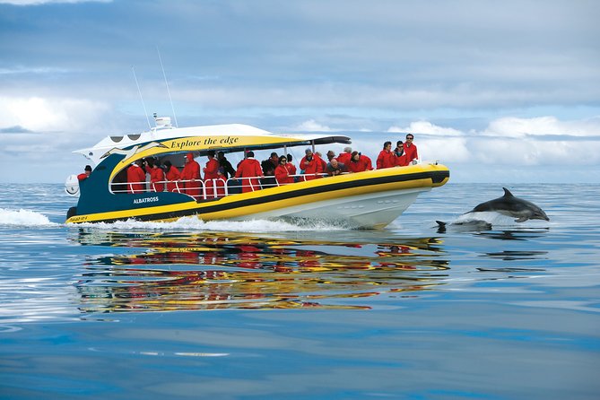 3-Hour Tasman Peninsula Wilderness Cruise From Port Arthur - Customer Testimonials