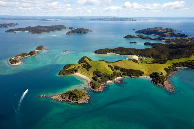 3 Hours // Hole in the Rock Cruise & Bay of Islands Tour - Traveler Tips