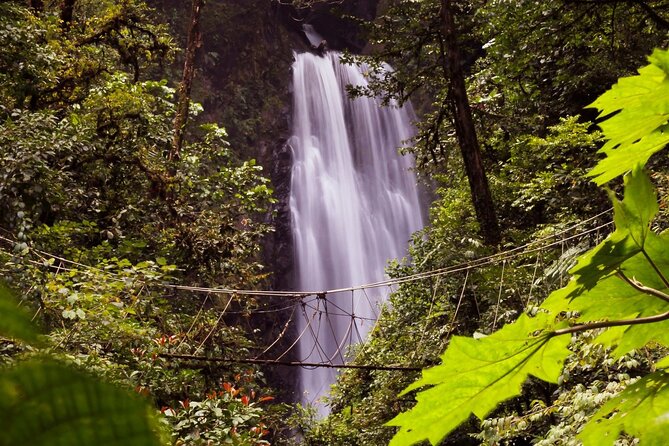 3-in-1 Monteverde Cloud Forest Waterfalls, Wild Trekking and Horseback Riding - Reservation Process