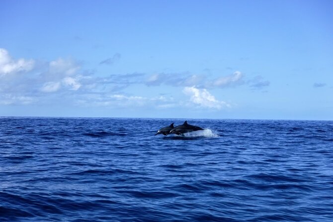 4-hour Kailua-Kona Ocean Kayak and Snorkel Tour - Additional Information