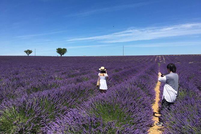 4-Hour Lavender Fields Tour in Valensole From Aix-En-Provence - Booking Information