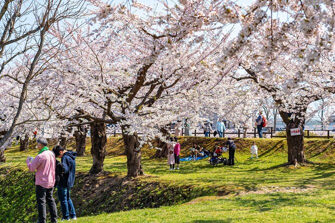 4 Hour Private Cherry Blossom "Sakura" Experience in Nagasaki - Last Words