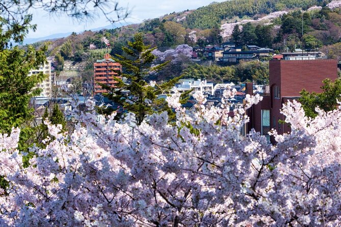 4 Hour Unique Kanazawa Cherry Blossom Sakura Private Experience - Common questions
