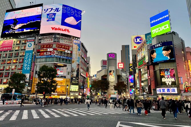 4 Hours Private Walking Tour in Tokyo - Pricing Information