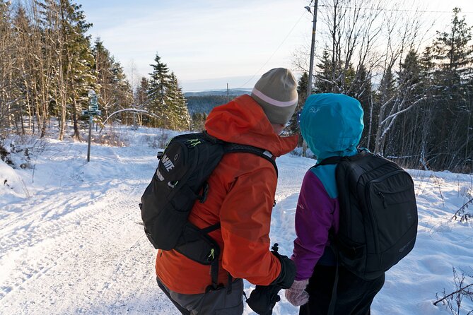 4 Hours Winter View of the Oslofjord Walk Tour - Weather Considerations