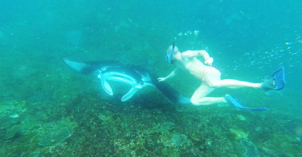4 Spot Snorkeling and Nusa Penida Tour Land - Activity Highlights