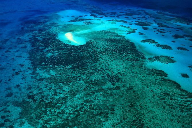 40-Minute Great Barrier Reef Scenic Flight From Cairns - Additional Details and Requirements