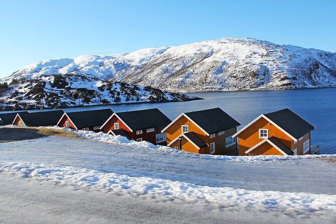 5-Day Private Norway Arctic Adventure in Norway - Northern Lights - Transportation and Accommodation