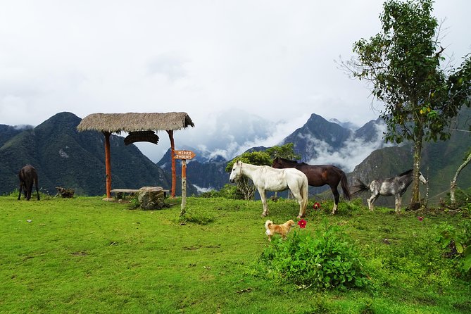 5-Day Salkantay Trail Trekking Tour From Cusco - Booking Information