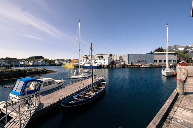 5 Highlights Of Lofoten From Svolvær - Trollfjord and Sea Eagle Safari