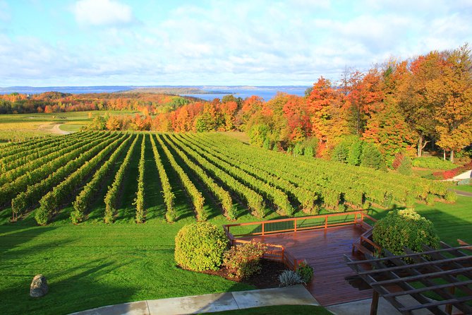 5-Hour Traverse City Wine Tour: 4 Wineries on Old Mission Peninsula - Customer Reviews and Satisfaction